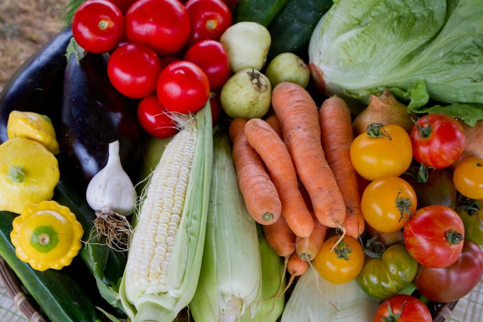 Garden Exchange Gains Interest, Momentum